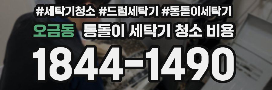오금동 통돌이 세탁기 청소 비용