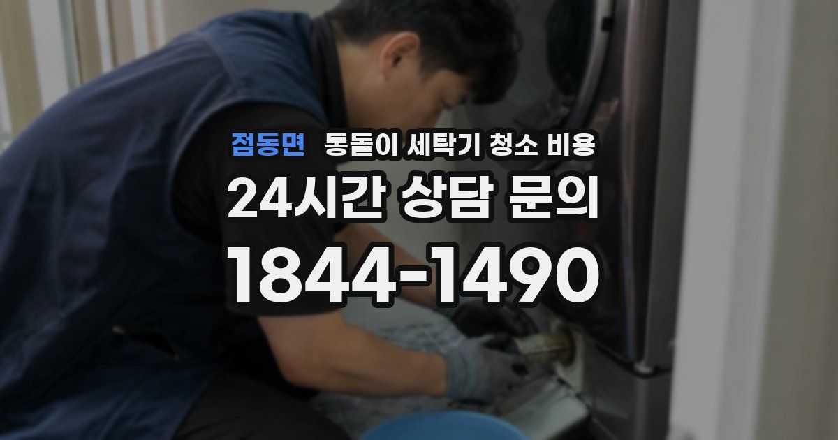 점동면 통돌이 세탁기 청소 비용