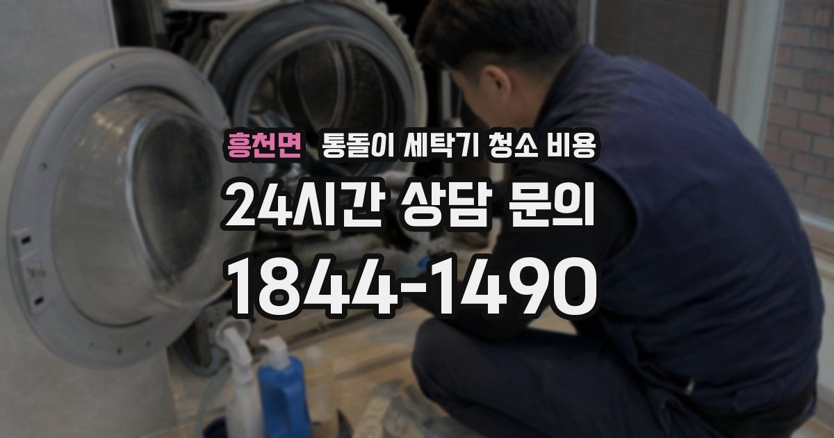 흥천면 통돌이 세탁기 청소 비용