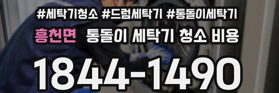 흥천면 통돌이 세탁기 청소 비용