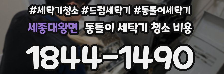 세종대왕면 통돌이 세탁기 청소 비용