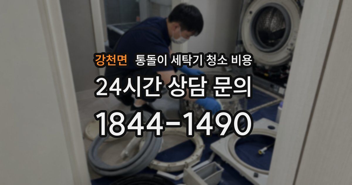 강천면 통돌이 세탁기 청소 비용