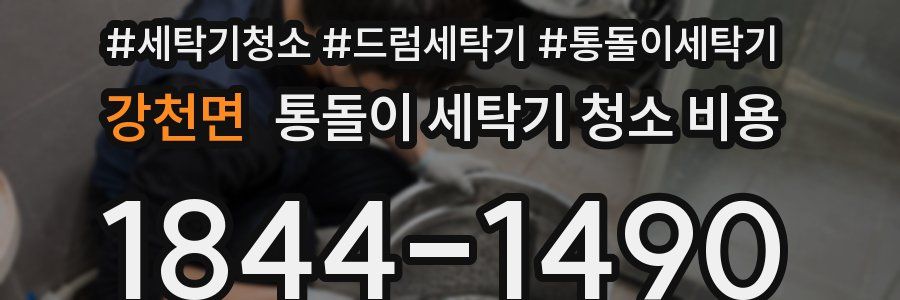 강천면 통돌이 세탁기 청소 비용