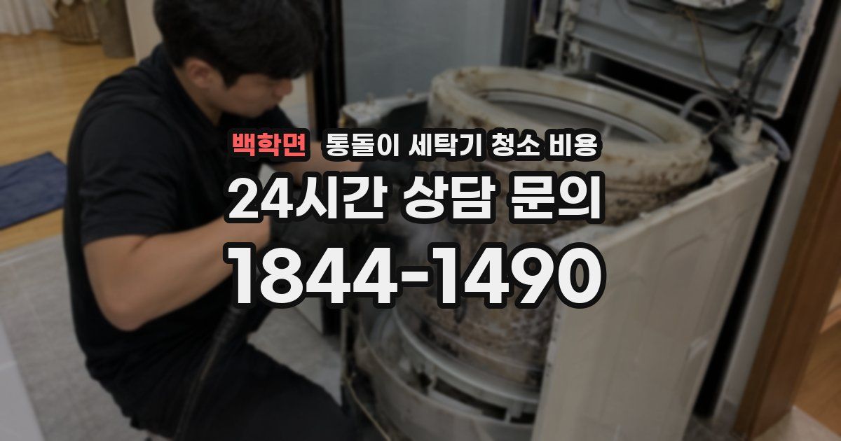 백학면 통돌이 세탁기 청소 비용
