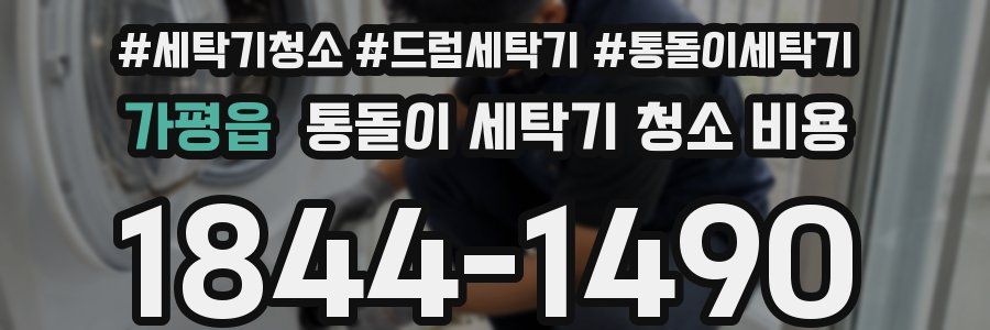 가평읍 통돌이 세탁기 청소 비용