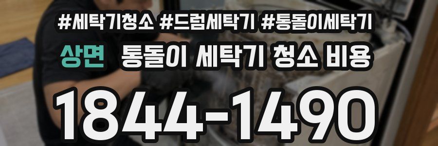 상면 통돌이 세탁기 청소 비용