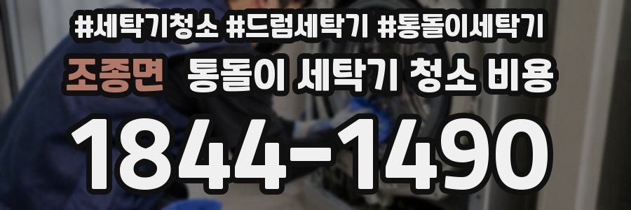 조종면 통돌이 세탁기 청소 비용