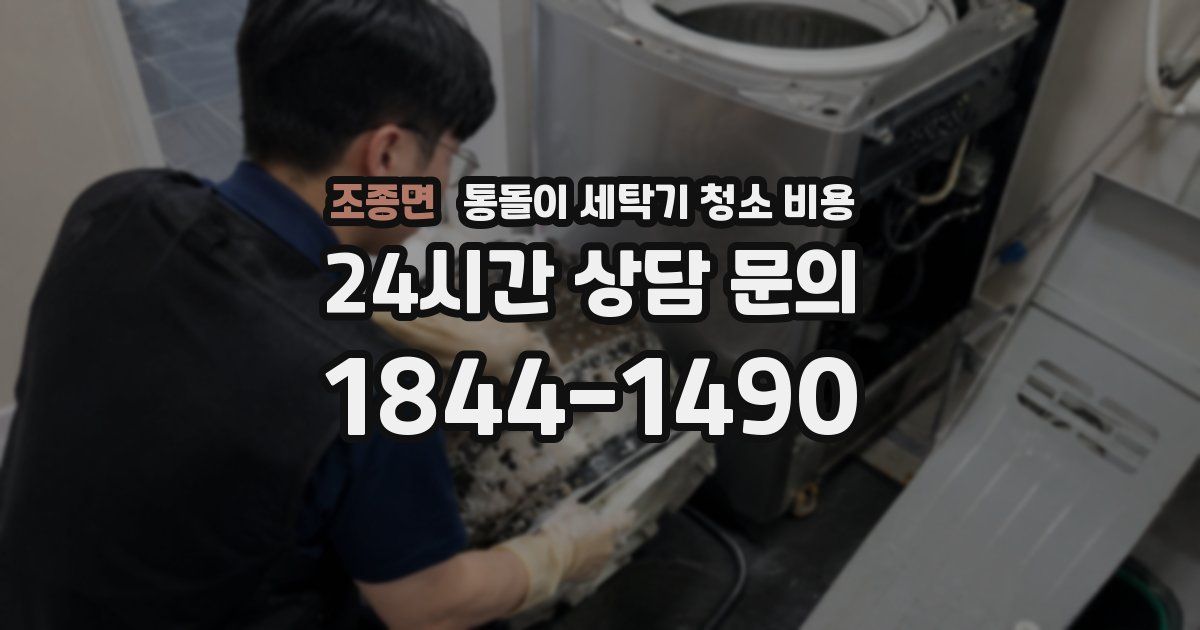 조종면 통돌이 세탁기 청소 비용