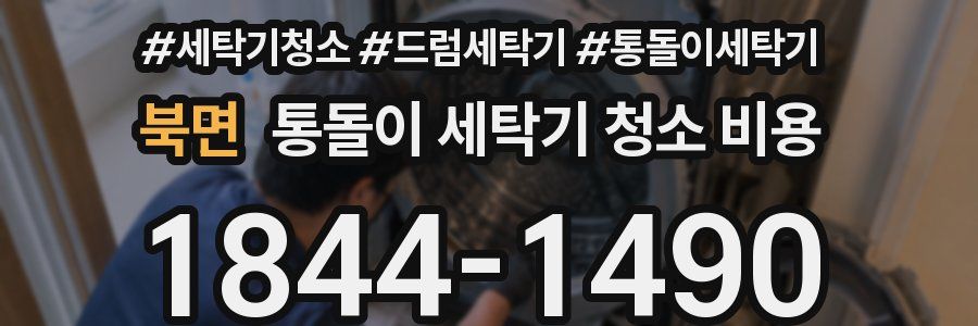 북면 통돌이 세탁기 청소 비용