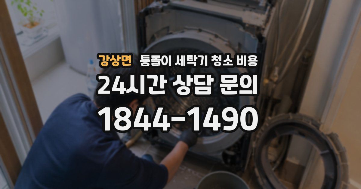강상면 통돌이 세탁기 청소 비용