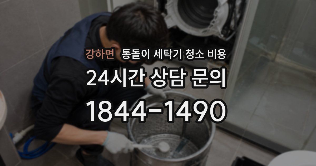 강하면 통돌이 세탁기 청소 비용