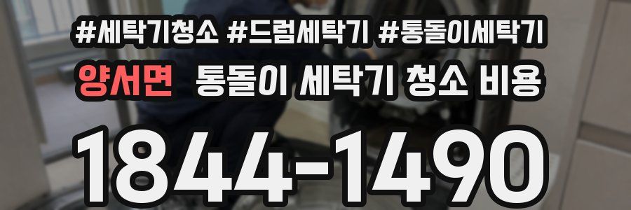 양서면 통돌이 세탁기 청소 비용