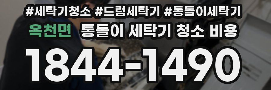 옥천면 통돌이 세탁기 청소 비용