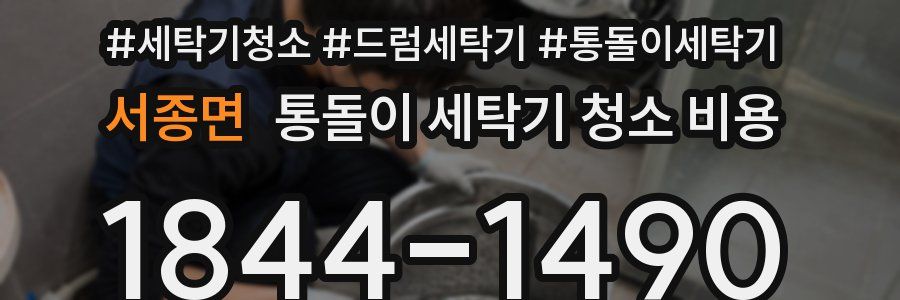 서종면 통돌이 세탁기 청소 비용