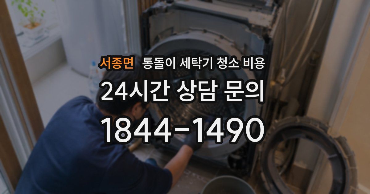 서종면 통돌이 세탁기 청소 비용