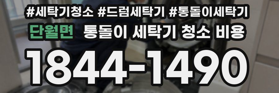 단월면 통돌이 세탁기 청소 비용