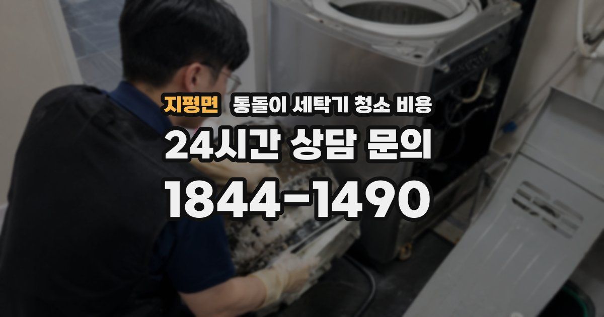지평면 통돌이 세탁기 청소 비용