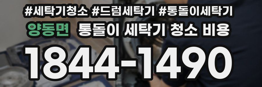 양동면 통돌이 세탁기 청소 비용