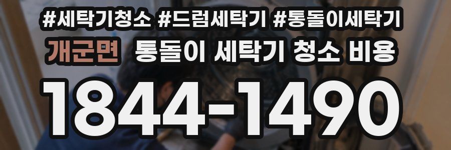 개군면 통돌이 세탁기 청소 비용