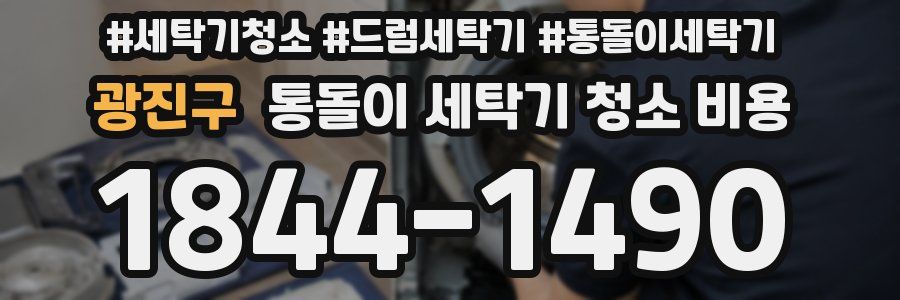 광진구 통돌이 세탁기 청소 비용