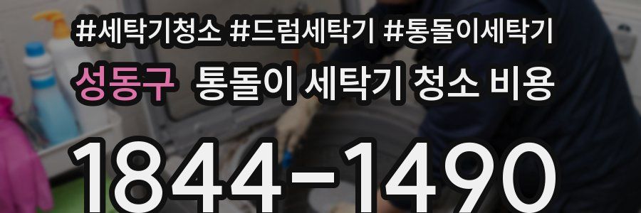 성동구 통돌이 세탁기 청소 비용