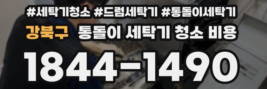 강북구 통돌이 세탁기 청소 비용