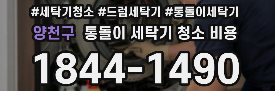 양천구 통돌이 세탁기 청소 비용