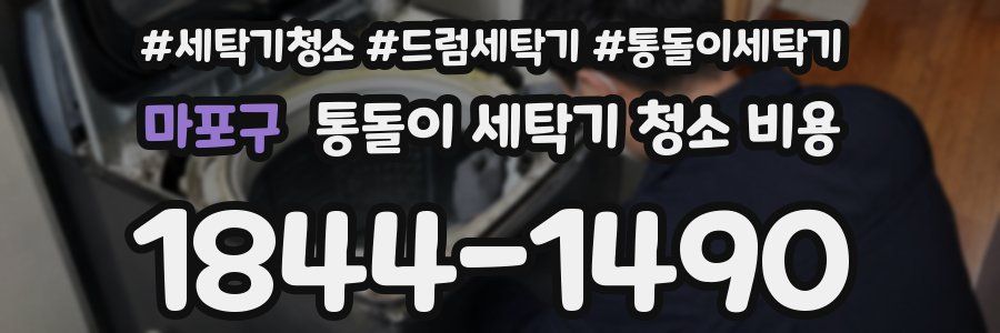 마포구 통돌이 세탁기 청소 비용