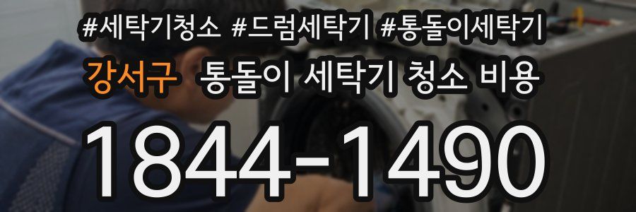 강서구 통돌이 세탁기 청소 비용
