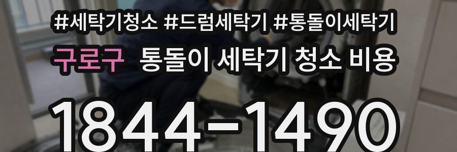 구로구 통돌이 세탁기 청소 비용