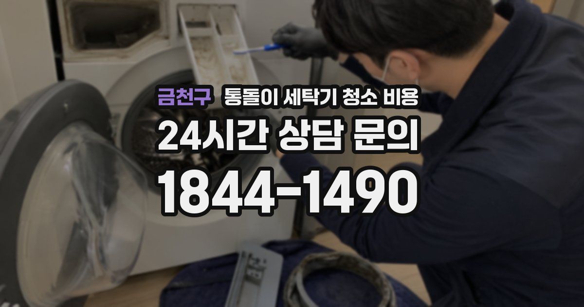 금천구 통돌이 세탁기 청소 비용