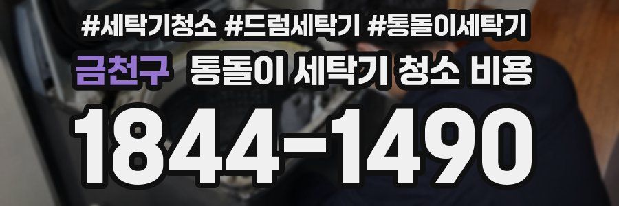 금천구 통돌이 세탁기 청소 비용