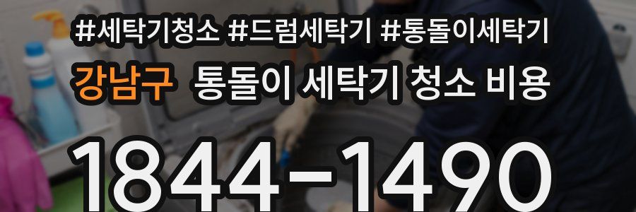 강남구 통돌이 세탁기 청소 비용