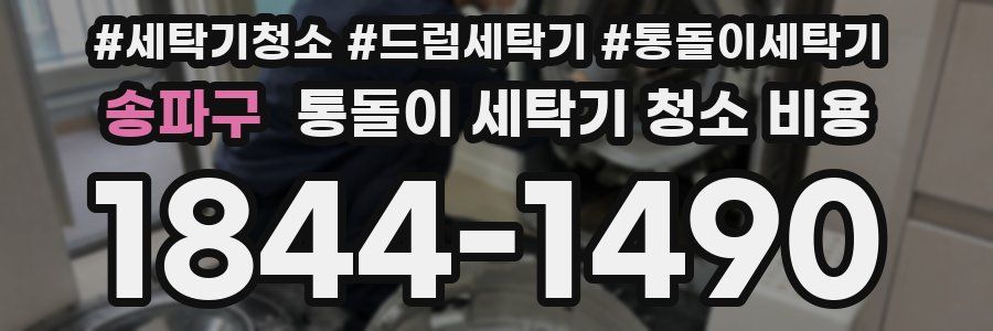 송파구 통돌이 세탁기 청소 비용