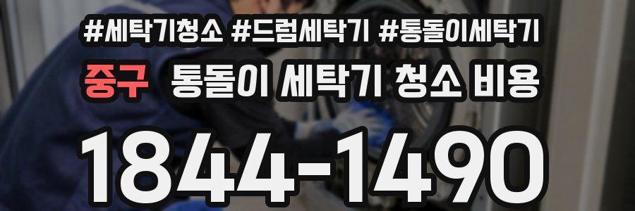 중구 통돌이 세탁기 청소 비용