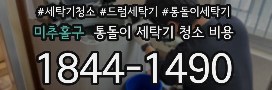미추홀구 통돌이 세탁기 청소 비용