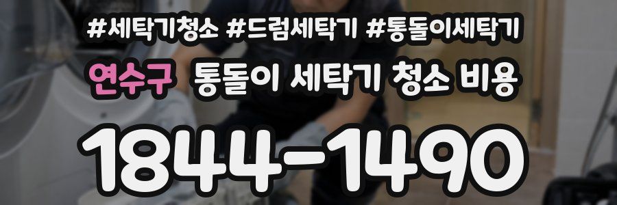 연수구 통돌이 세탁기 청소 비용