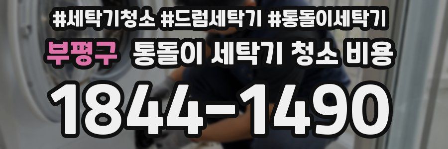 부평구 통돌이 세탁기 청소 비용