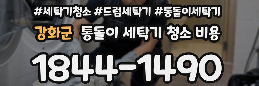 강화군 통돌이 세탁기 청소 비용