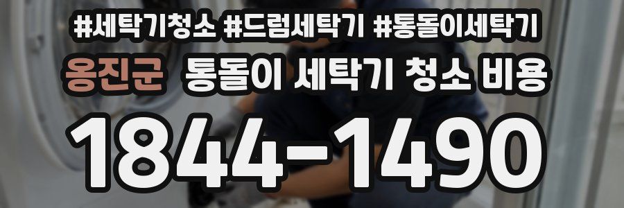 옹진군 통돌이 세탁기 청소 비용