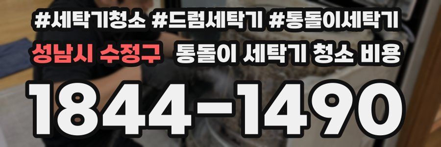 성남시 수정구 통돌이 세탁기 청소 비용