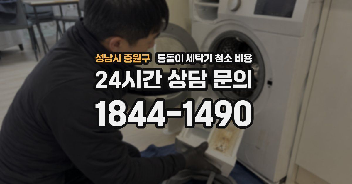 성남시 중원구 통돌이 세탁기 청소 비용