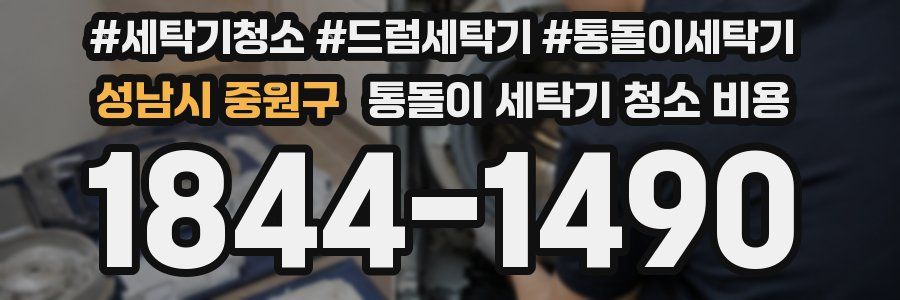 성남시 중원구 통돌이 세탁기 청소 비용