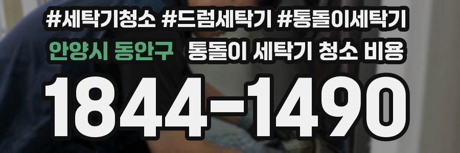 안양시 동안구 통돌이 세탁기 청소 비용