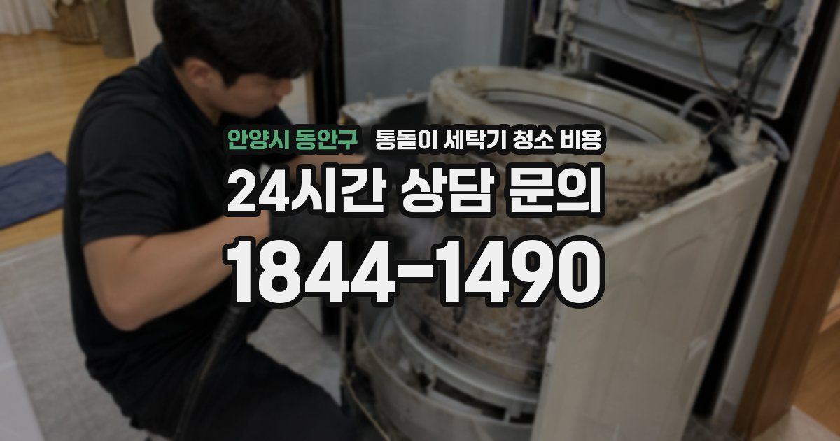 안양시 동안구 통돌이 세탁기 청소 비용
