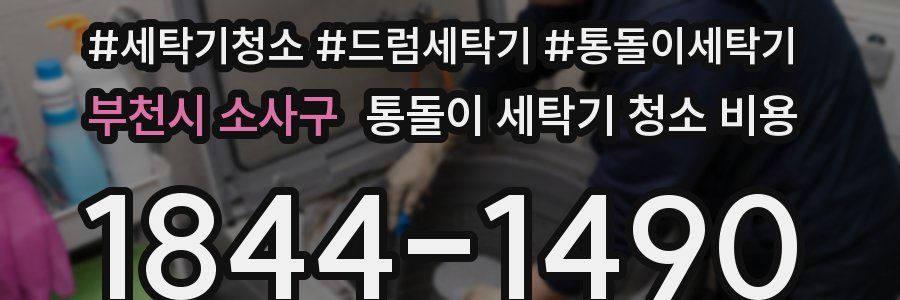 부천시 소사구 통돌이 세탁기 청소 비용