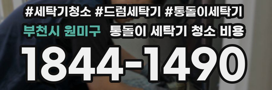 부천시 원미구 통돌이 세탁기 청소 비용