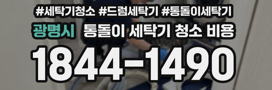 광명시 통돌이 세탁기 청소 비용