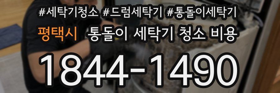 평택시 통돌이 세탁기 청소 비용