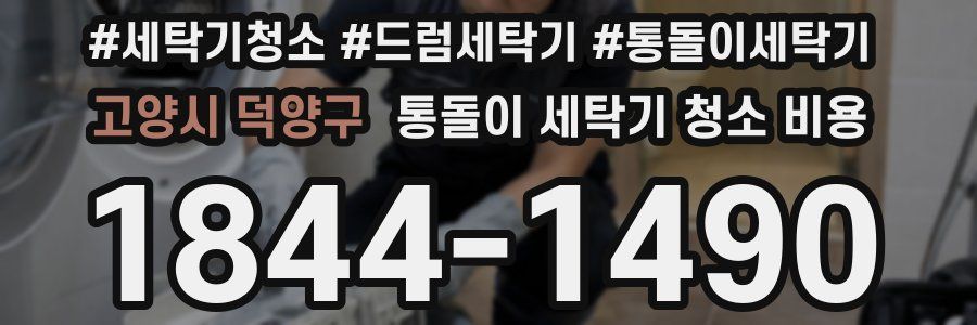 고양시 덕양구 통돌이 세탁기 청소 비용